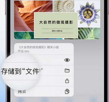 尖草坪apple维修中心分享iPhone文件应用中存储和找到下载文件