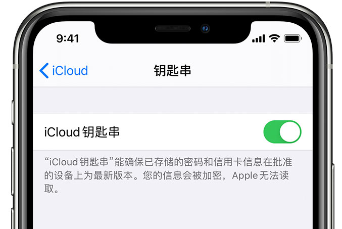 尖草坪苹果手机维修分享在 iPhone 上开启 iCloud 钥匙串之后会储存哪些信息 