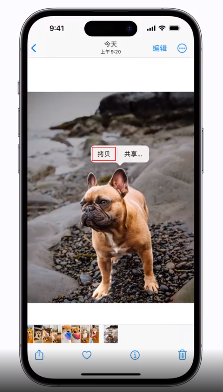尖草坪苹果手机维修分享 iOS 16 自带一键抠图功能 