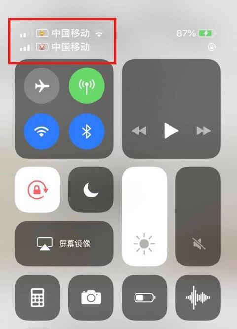 尖草坪苹果手机维修分享为 iPhone 12 双卡设置标签 